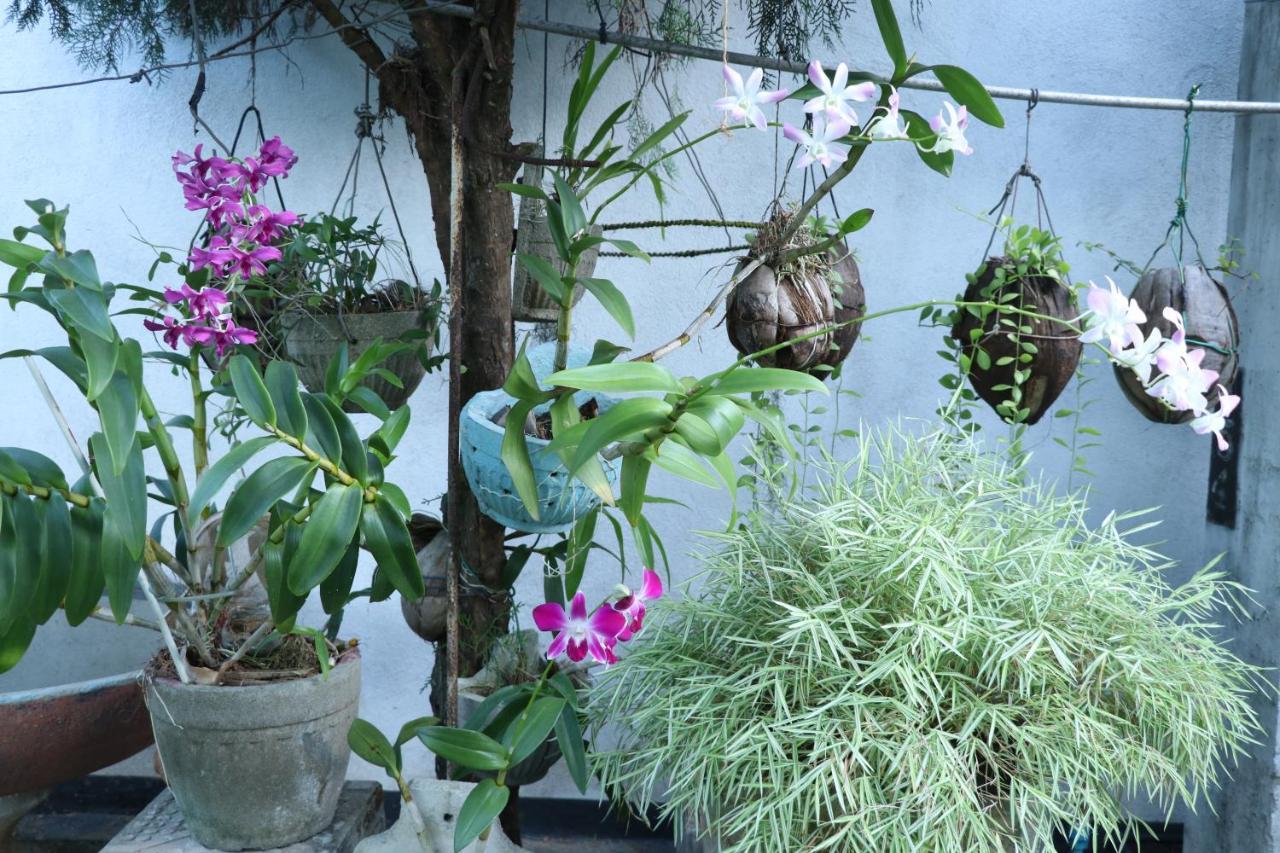 Southern Entry Dikwella Ngoại thất bức ảnh
